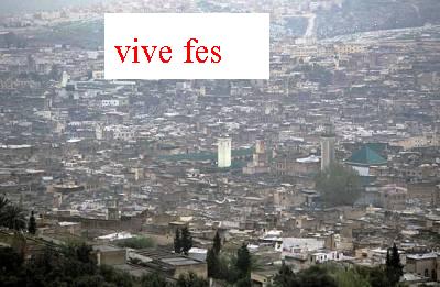 dima fes